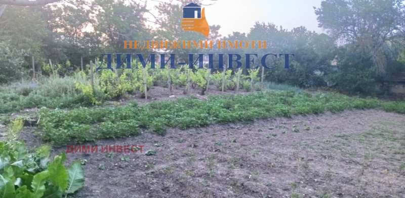 Продава КЪЩА, с. Долина, област Добрич