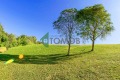 Продава ПАРЦЕЛ, област Стара Загора, с. Тракия • 10500 € / 20536.22 лв. • 54252178 1