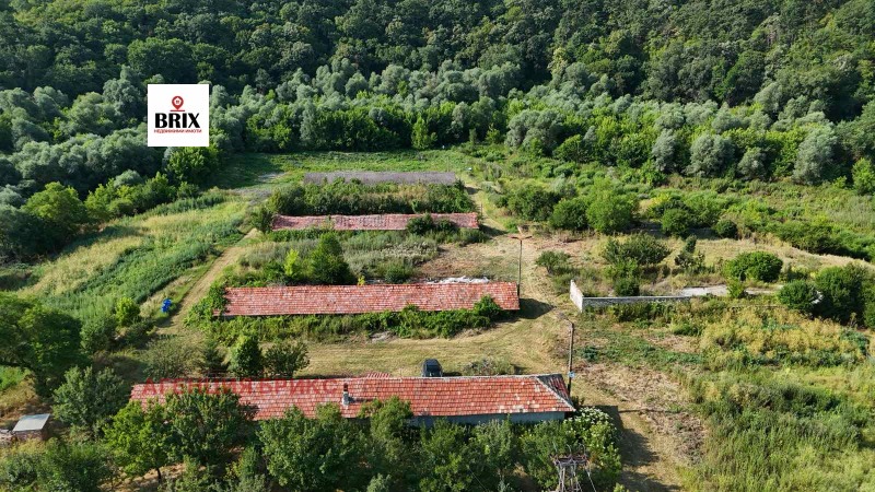 Продава ПАРЦЕЛ в област Русе, с. Кривня - 103526 кв.м / 164 900 € » 322 516.37 лв., АГЕНЦИЯ БРИКС