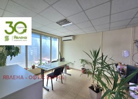 ����� ������� �������,���� �����, ������