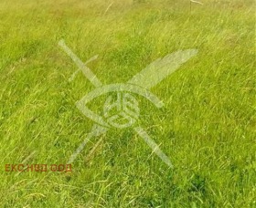 Handlung Zarazowo, region Plowdiw