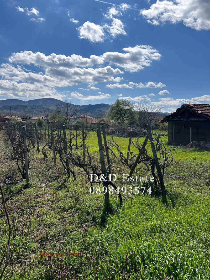 Продава  Къща област Стара Загора , с. Елхово (Николаево) , 90 кв.м | 85730886 - изображение [6]
