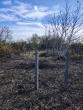 Продава КЪЩА, област Добрич, гр. Балчик • 95000 € / 185803.85 лв. • 74284599 9