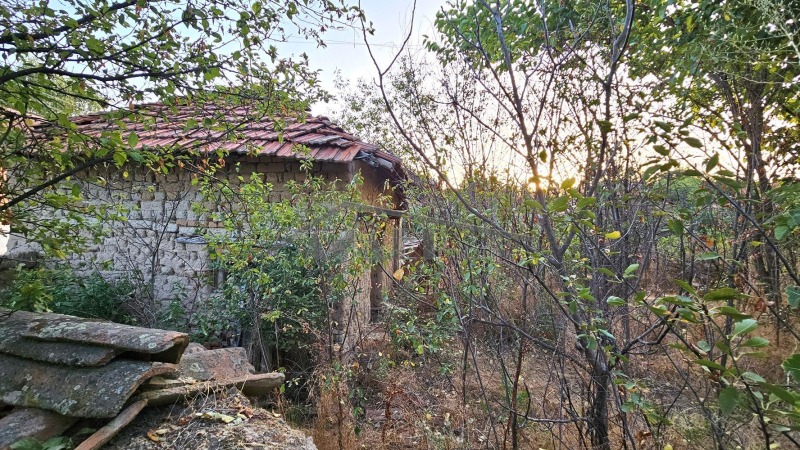 De vânzare  Casa regiunea Plovdiv , Suhozem , 54 mp | 20429443 - imagine [9]