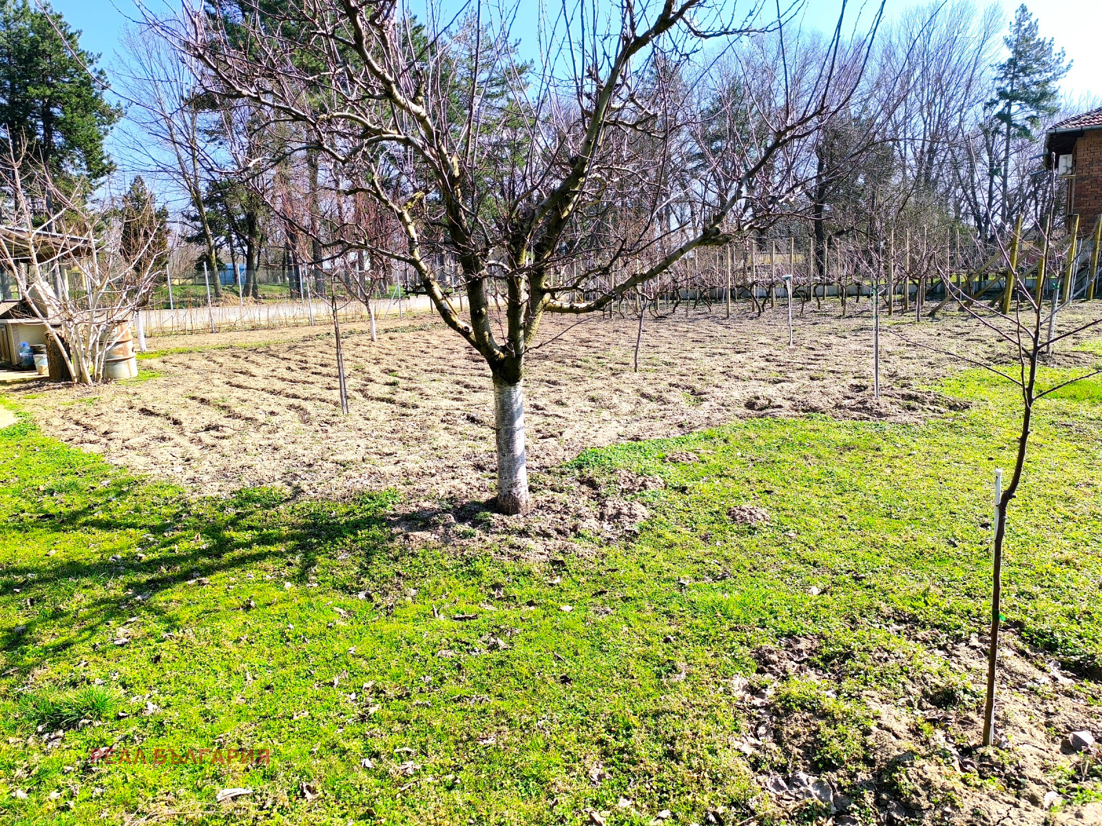 Продава КЪЩА, с. Щръклево, област Русе, снимка 11 - Къщи - 53844328