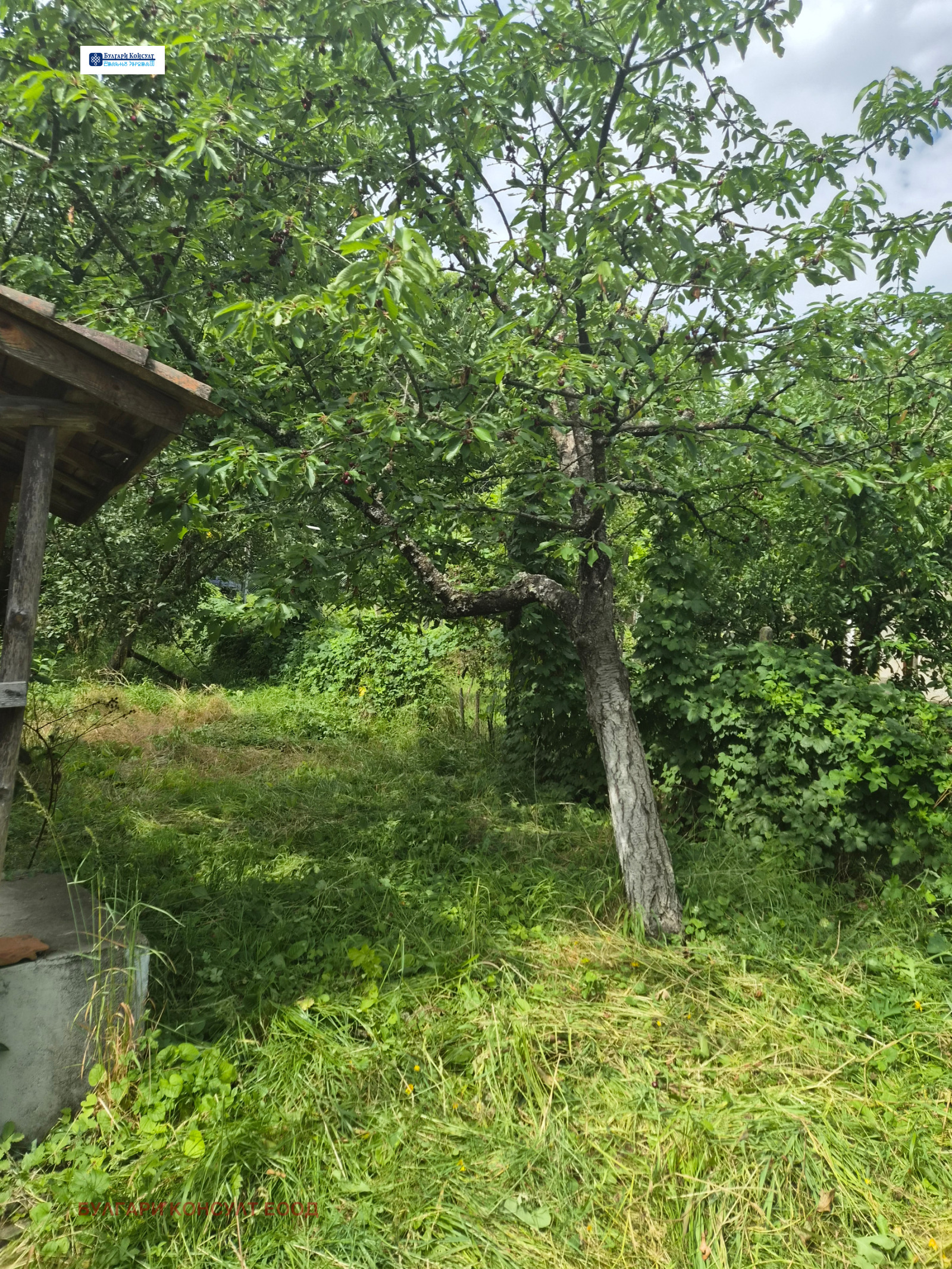 Продава ВИЛА, с. Соволяно, област Кюстендил, снимка 6 - Вили - 55031466