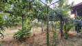 Продава КЪЩА, с. Сухозем, област Пловдив, снимка 8