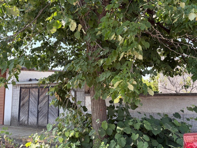 À vendre  Maison région Plovdiv , Voisil , 134 m² | 18181291 - image [9]
