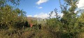 Продава ПАРЦЕЛ, област Кюстендил, гр. Рила • 29940 € • 39929163 — Holmes.bg