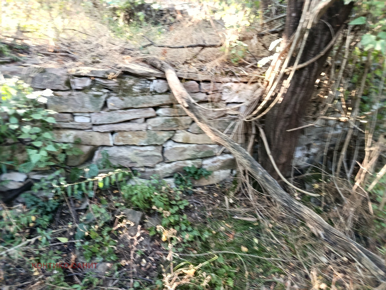 Продава КЪЩА | Imot.bg — изображение 15