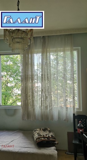 ����� ������� 4-�����,���� �����, ������