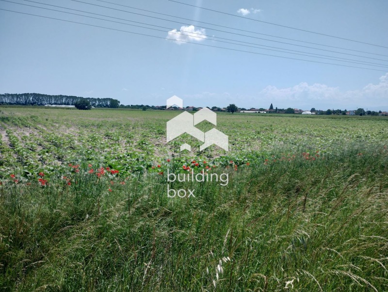 Na prodej  Spiknutí oblast Plovdiv , Graf Ignatievo , 4747 m2 | 19741717 - obraz [4]