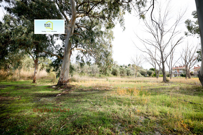 Продава ПАРЦЕЛ, Извън страната, област Извън страната, снимка 3 - Парцели - 52713481