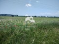 Продава ПАРЦЕЛ, област Пловдив, с. Граф Игнатиево • 66458 € • 79036889 — Holmes.bg