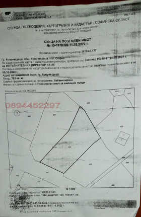 ����� ������� ������,��. ����������, ������ �����