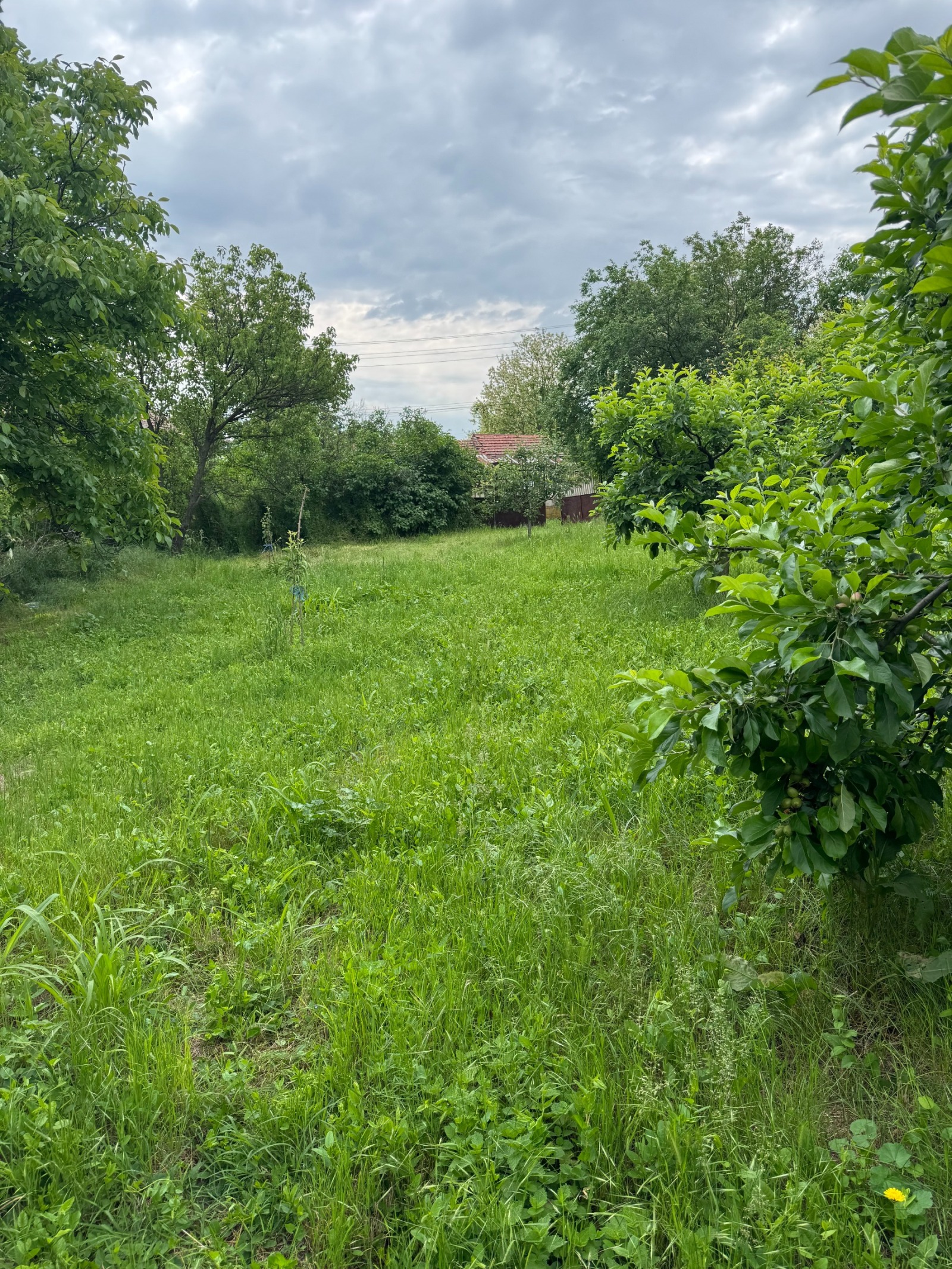 Продава ПАРЦЕЛ, гр. Славяново, област Плевен, снимка 2 - Парцели - 53271396