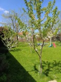 Продава  Къща област Бургас , с. Веселие , 76 кв.м | 16770566