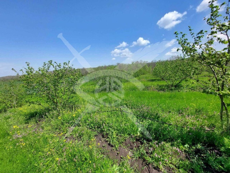 Продава ПАРЦЕЛ в област Бургас, с. Драчево - 765 кв.м / 159 000 € » 310 976.97 лв., ЕКС НВД БУРГАС ООД