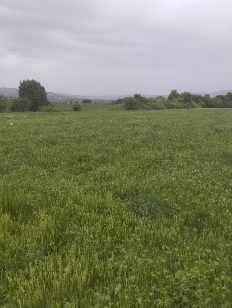 Продаја  Плот регион Софиа , Петарч , 5774 м2 | 58167343 - слика [2]