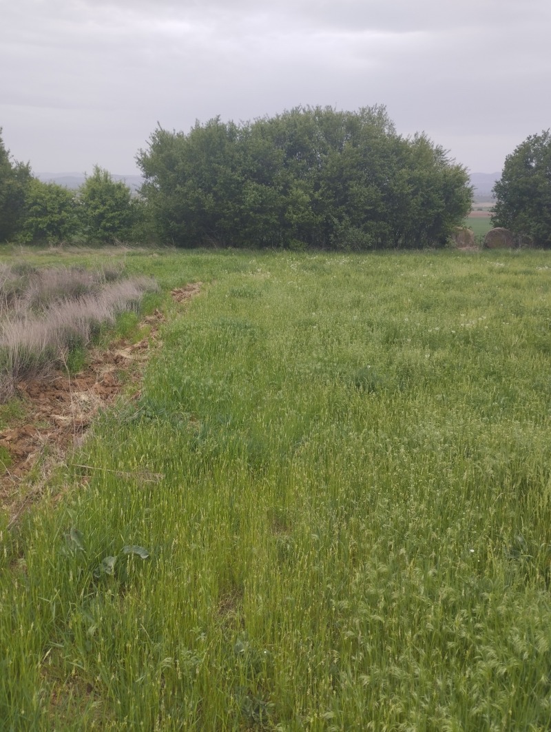 Продаја  Плот регион Софиа , Петарч , 5774 м2 | 58167343