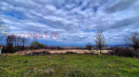 ������ ������� ������