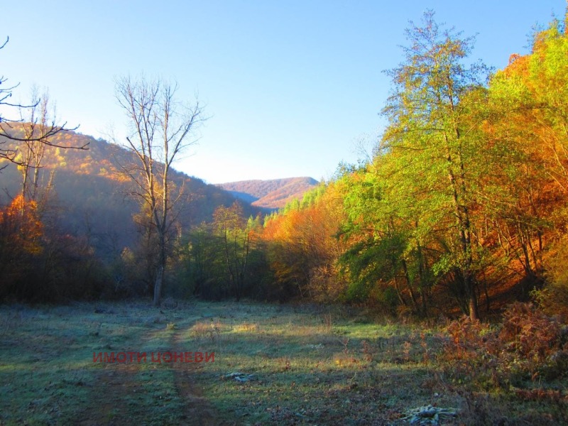 Til salg  Grund region Stara Zagora , Lyava reka , 6000 kvm | 80282625