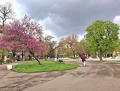 Продава ОФИС, гр. София, Център, снимка 14