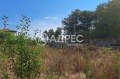 Продава ПАРЦЕЛ, област Варна, с. Китка • 55000 € / 107570.65 лв. • 31539330 5