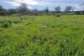 Продава  Парцел област Варна , с. Слънчево , 500 кв.м | 53891883 - изображение [5]