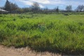 Продава  Парцел област Варна , с. Слънчево , 500 кв.м | 53891883 - изображение [7]