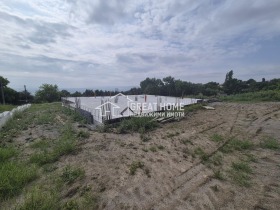 Сюжет Момино, область Тирговиште