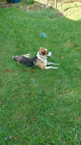 ������� ������ | Imot.bg � ����� ������ 2