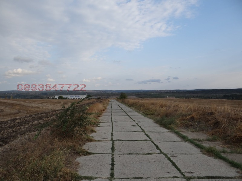 For Sale  Plot region Varna , Ezerovo , 4898 sq.m | 86582955