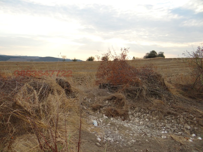 For Sale  Plot region Varna , Ezerovo , 4898 sq.m | 86582955 - image [4]