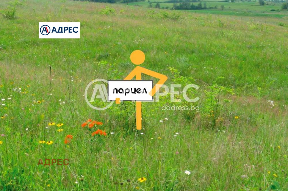 Продава ПАРЦЕЛ, с. Приселци, област Варна, снимка 3 - Парцели - 53808411