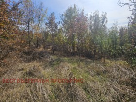 ������� ���� | Imot.bg � ����� ������ 9