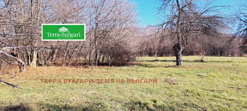 Продава ПАРЦЕЛ, гр. Перник, Църква, снимка 3 - Парцели - 47696141