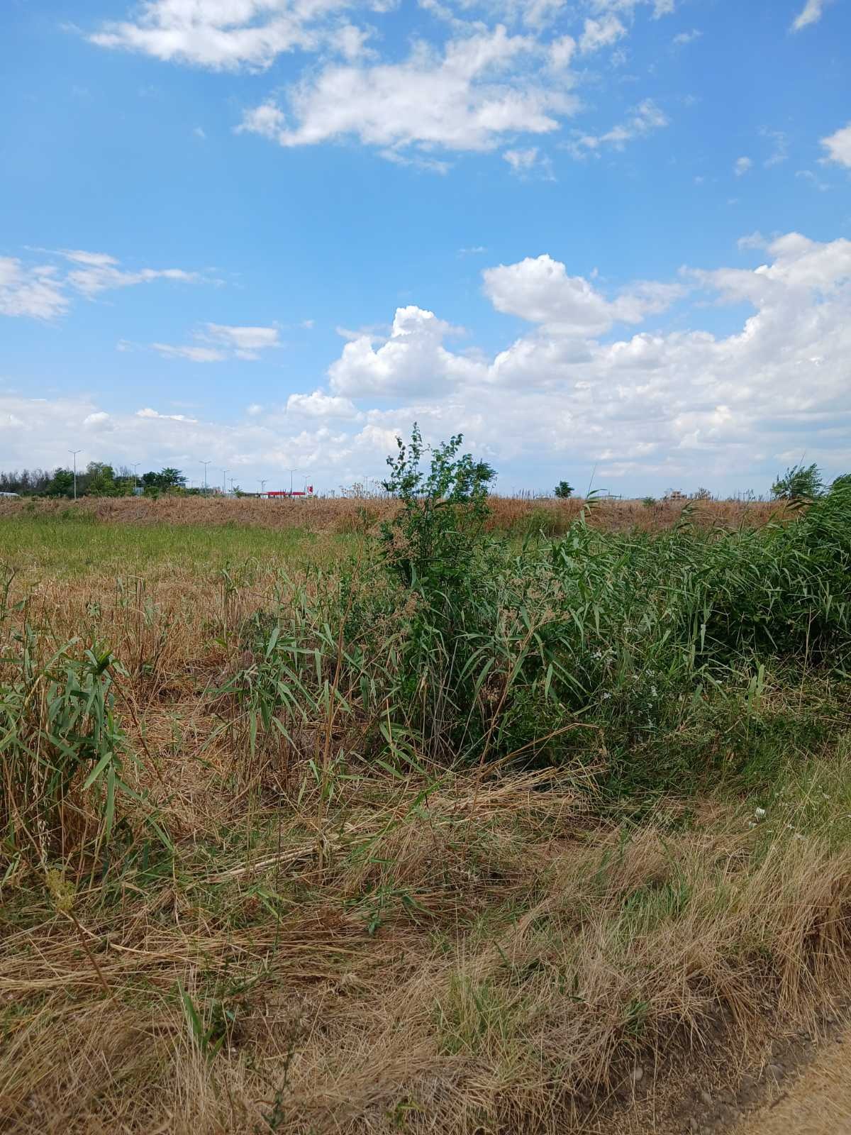 Продава ПАРЦЕЛ, с. Крумово, област Пловдив, снимка 2 - Парцели - 55275127