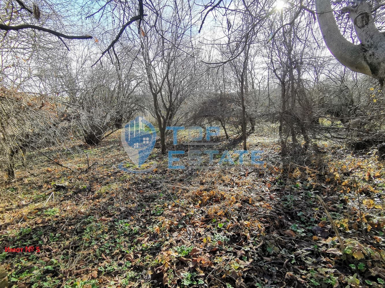 ������� ���� | Imot.bg � ����������� 16