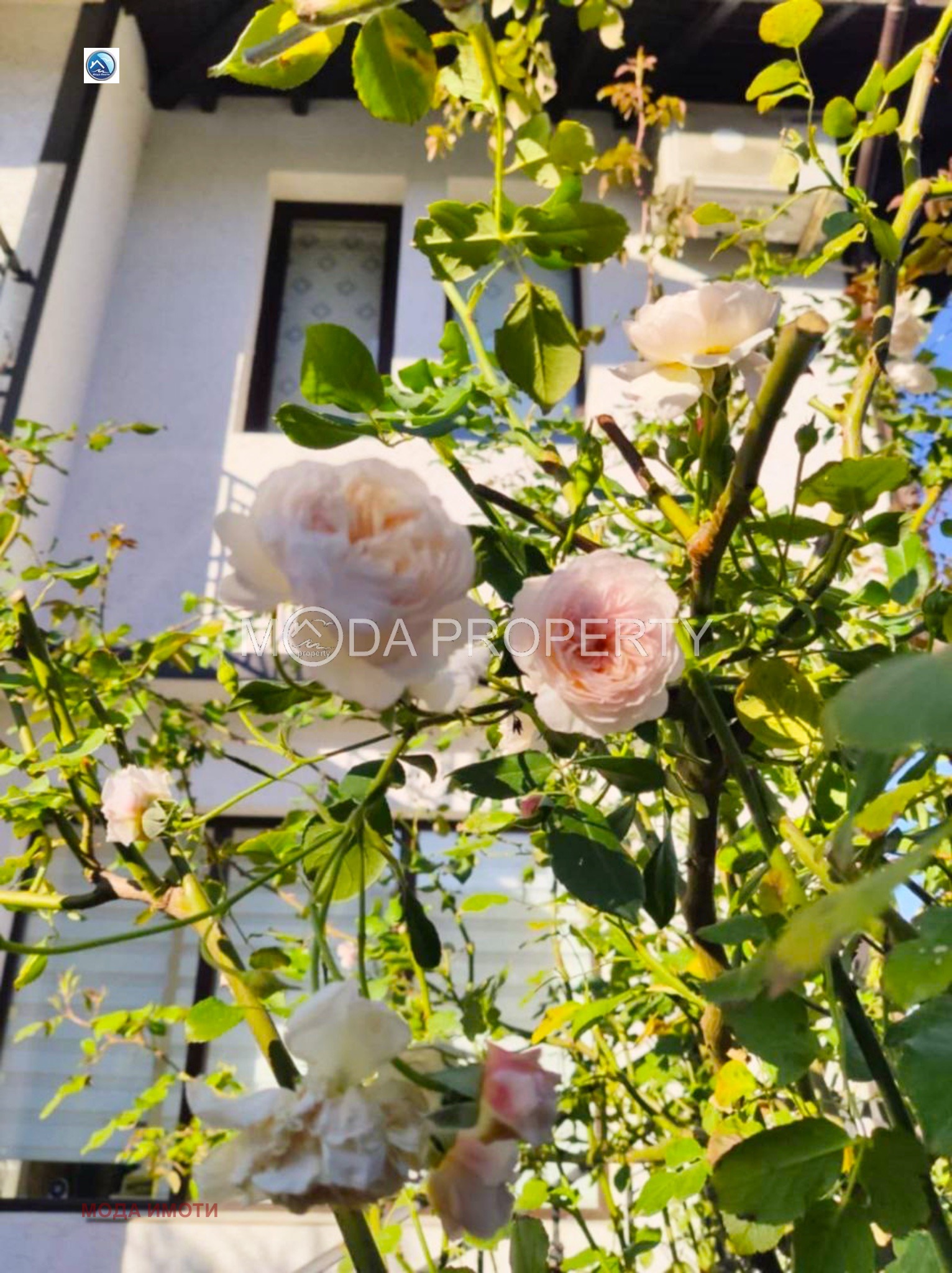 Продава КЪЩА | Imot.bg — изображение 6