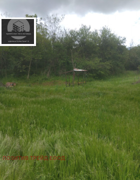 ������� ���� | Imot.bg � ����� ������ 12