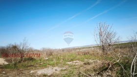 ����� ������� ������,���� �����, �. ������