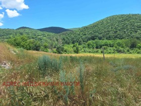 ������� ������ | Imot.bg � ����� ������ 5