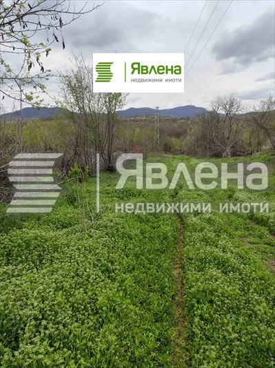 Продава ПАРЦЕЛ, с. Дъбравка, област Видин