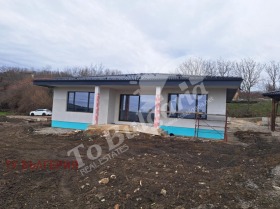 ����� ������� ����,���� ������ �������, ������