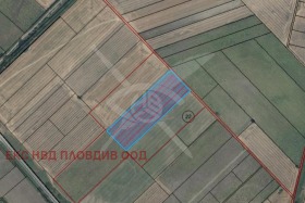 ����� ������� ������,���� �������, ������������ ���� - �����