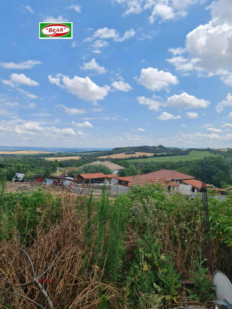 Продава  Къща област Велико Търново , с. Драгижево , 170 кв.м | 55690197 - изображение [15]