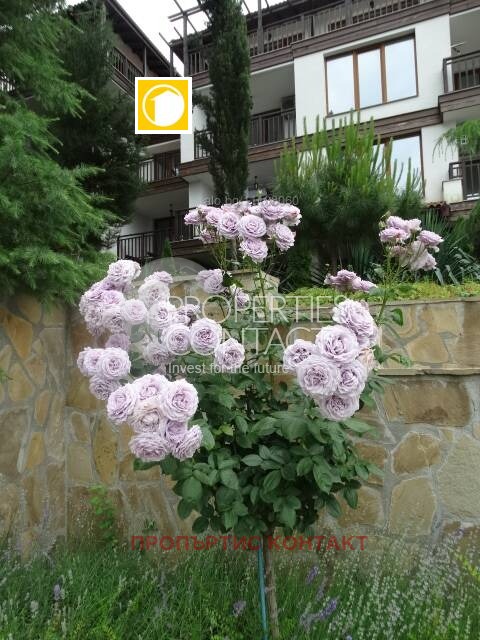 ������� 1-����� | Imot.bg � ����������� 8