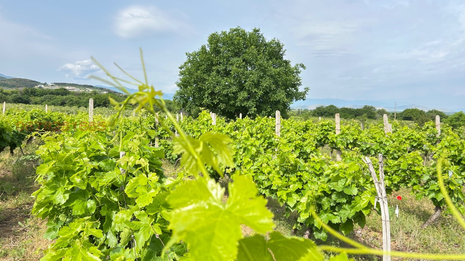 ������� ���������� ���� | Imot.bg � ����������� 6