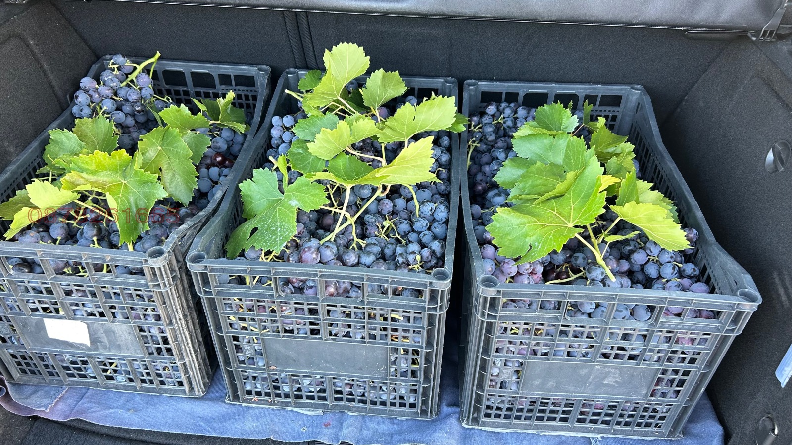 ������� ���������� ���� | Imot.bg � ����������� 5